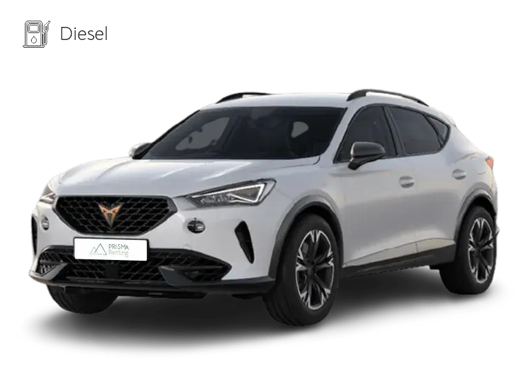 Renting Cupra Formentor: oferta de renting del Cupra Formentor para particulares, autónomos y empresas