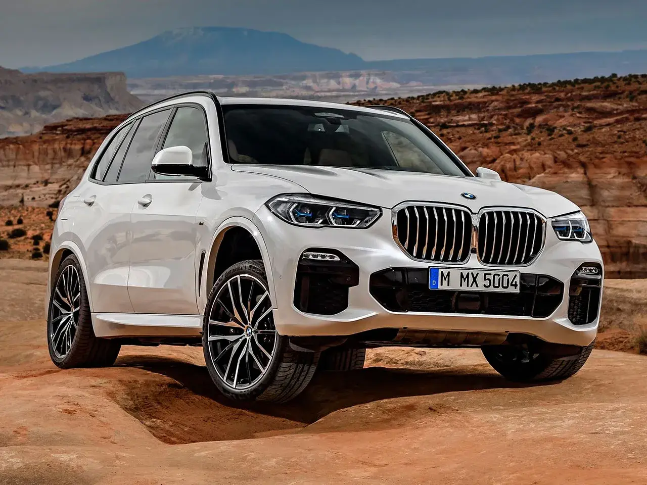 Renting BMW X5: oferta de renting del BMW X5 para particulares, autónomos y empresas. Renting BMW X5 barato